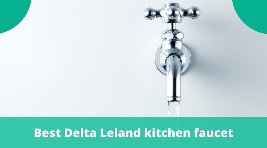 Best Delta Leland kitchen faucet