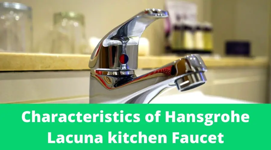 Characteristics of Hansgrohe Lacuna kitchen Faucet 
