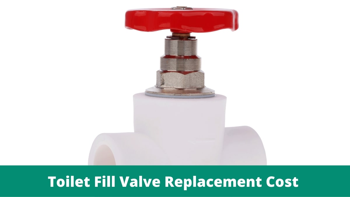 Know About the Toilet Fill Valve Replacement Cost Plumbingpoints